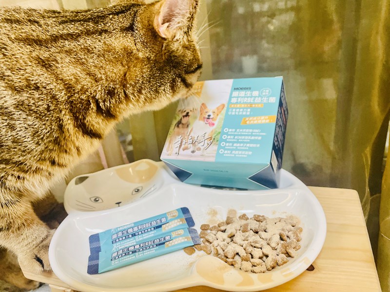 女人知己試用大隊,口碑行銷,部落客行銷,Moegis萌吉 腸道生機專利RBE益生菌,寵物益生菌,專利RBE益生元,專利蔬果酵素,小分子胜肽,藍藻粉,維持免疫力,幫助維持消化道機能,維持正常食慾,改變細菌叢生態,腸胃保健,犬貓適用